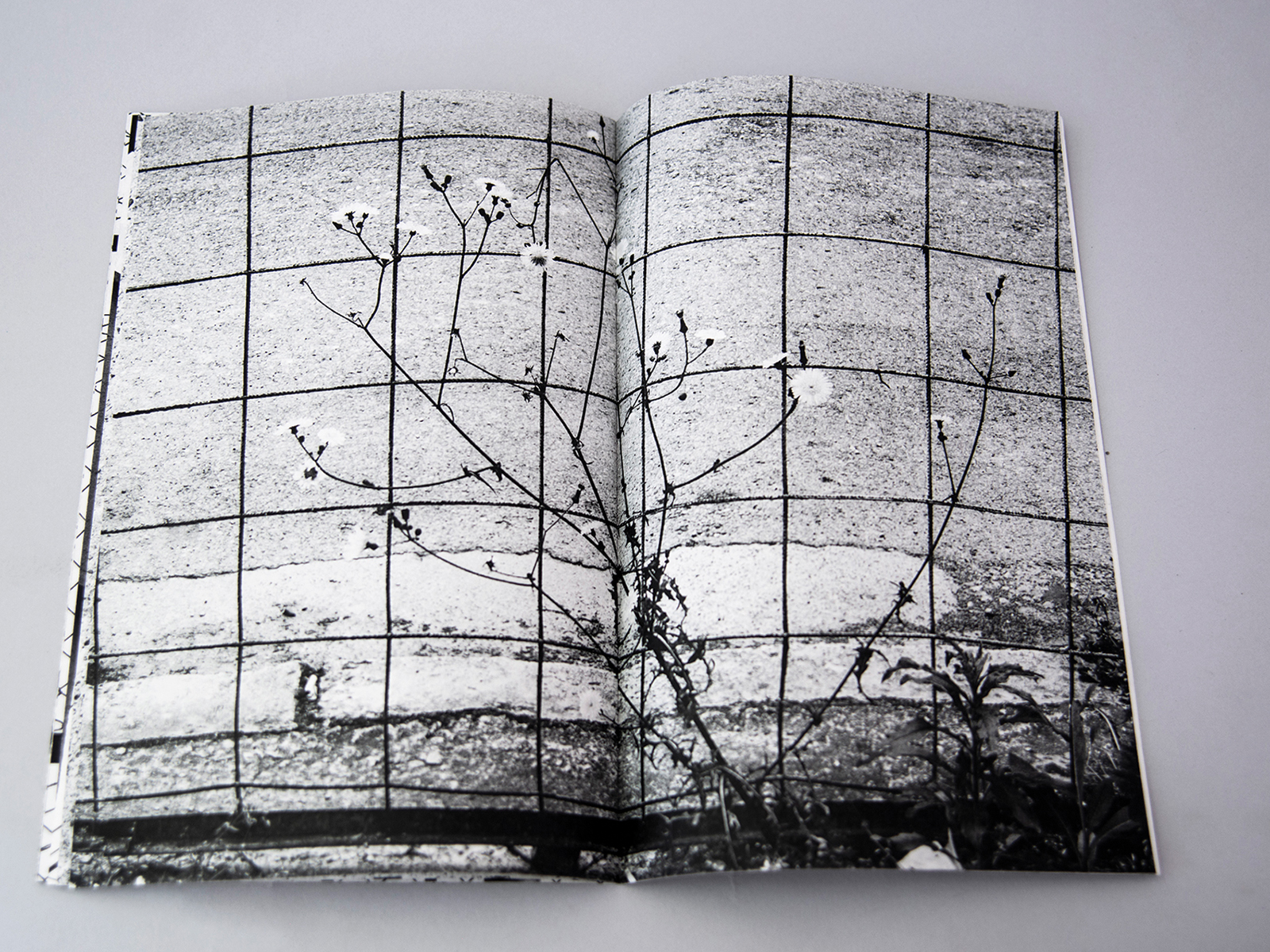 Between pattern and shadow 6