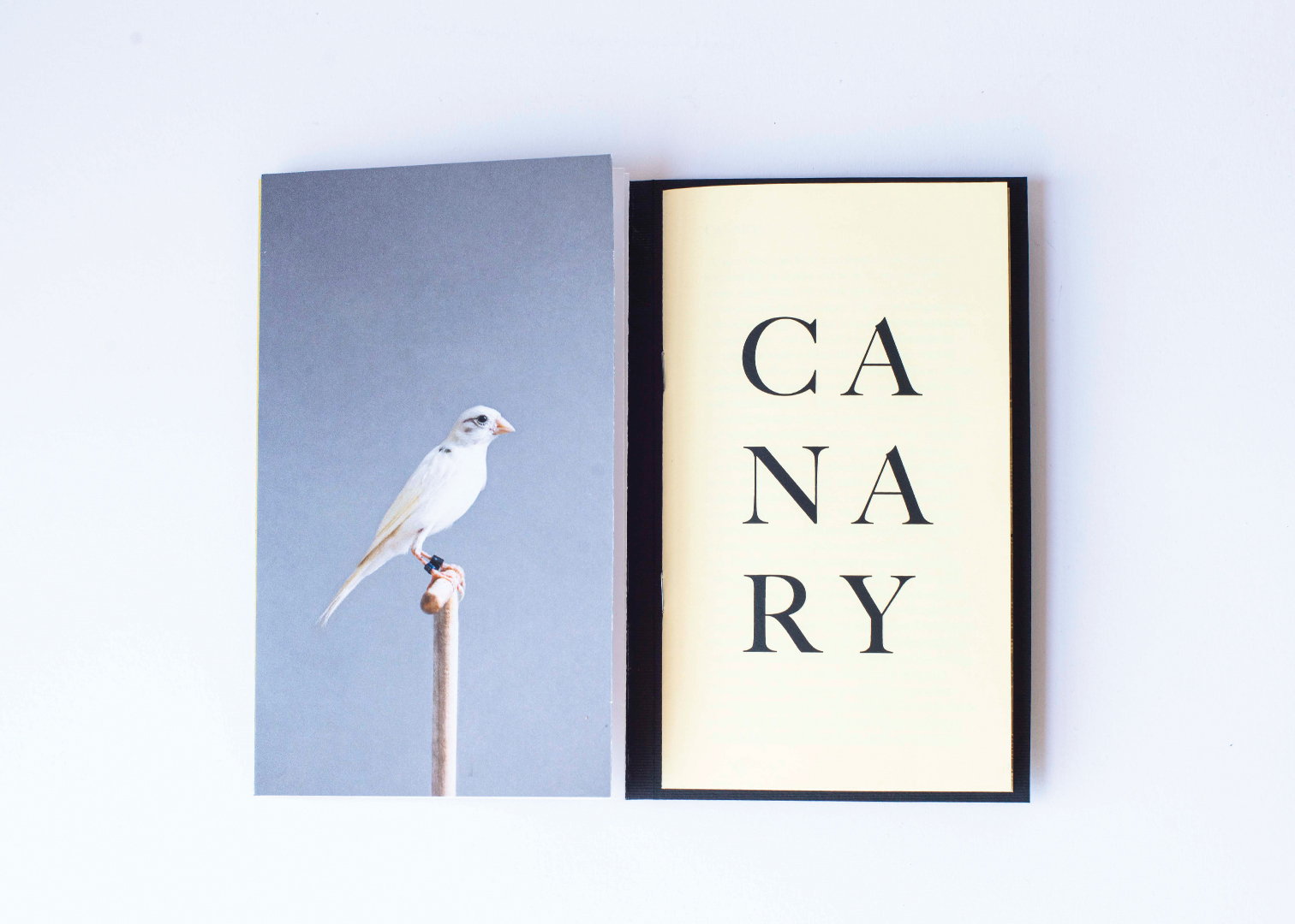 canary3