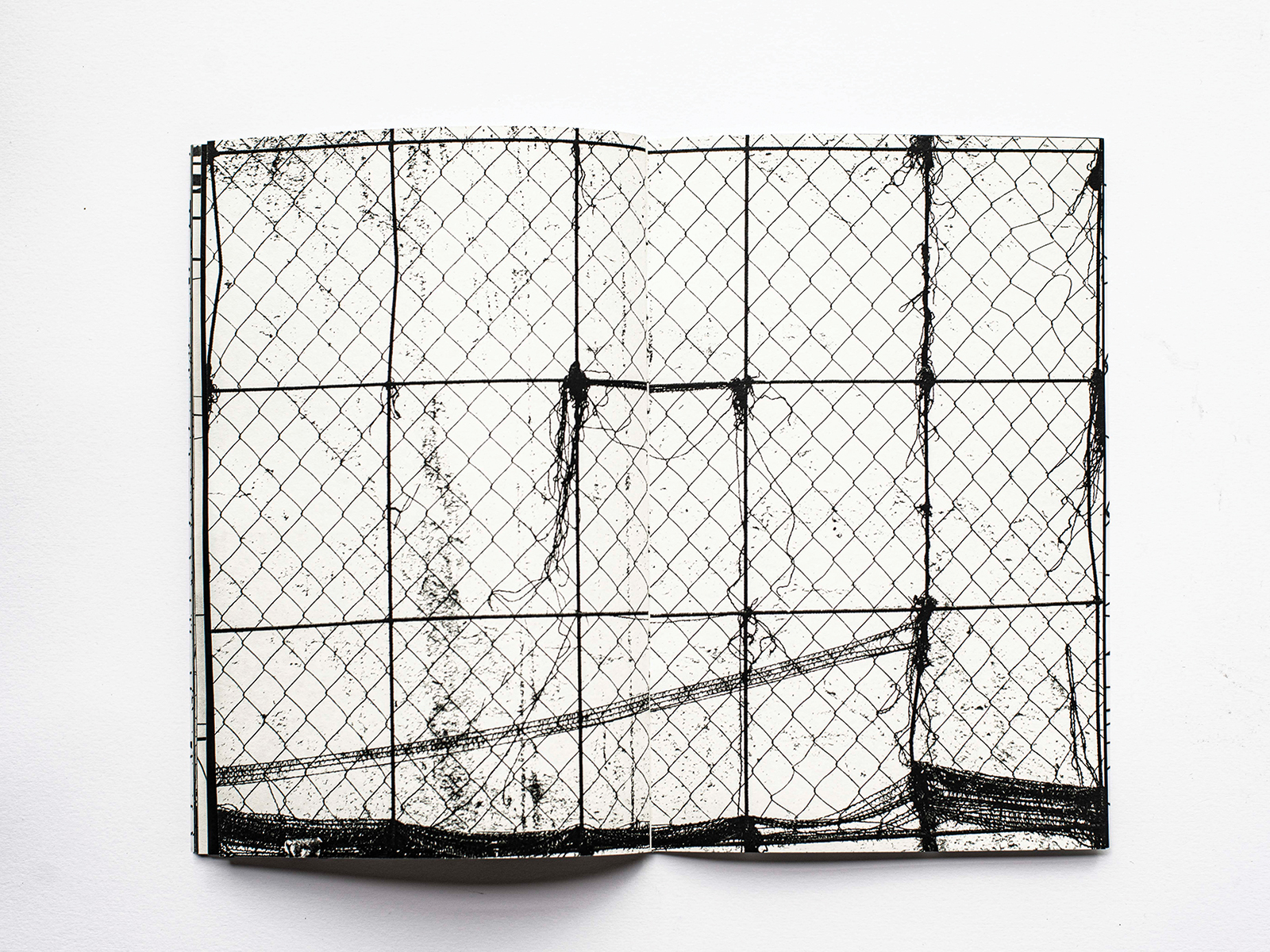 nets 8